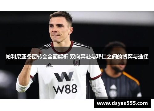 帕利尼亚冬窗转会全面解析 双向奔赴与拜仁之间的博弈与选择